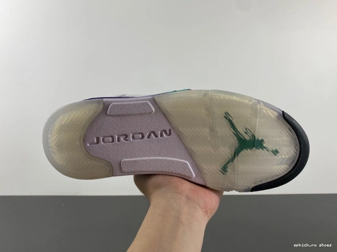 Cheap Air Grape 5 Jordan 136027-108 (2013) Retro 0817
